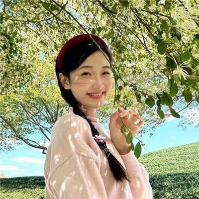 情来.算尽爱